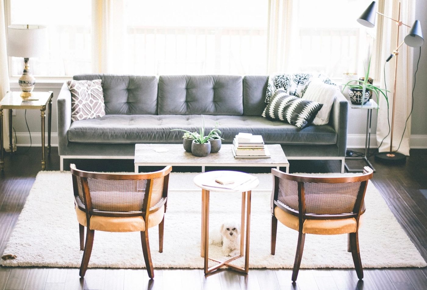 Pet-friendly interior