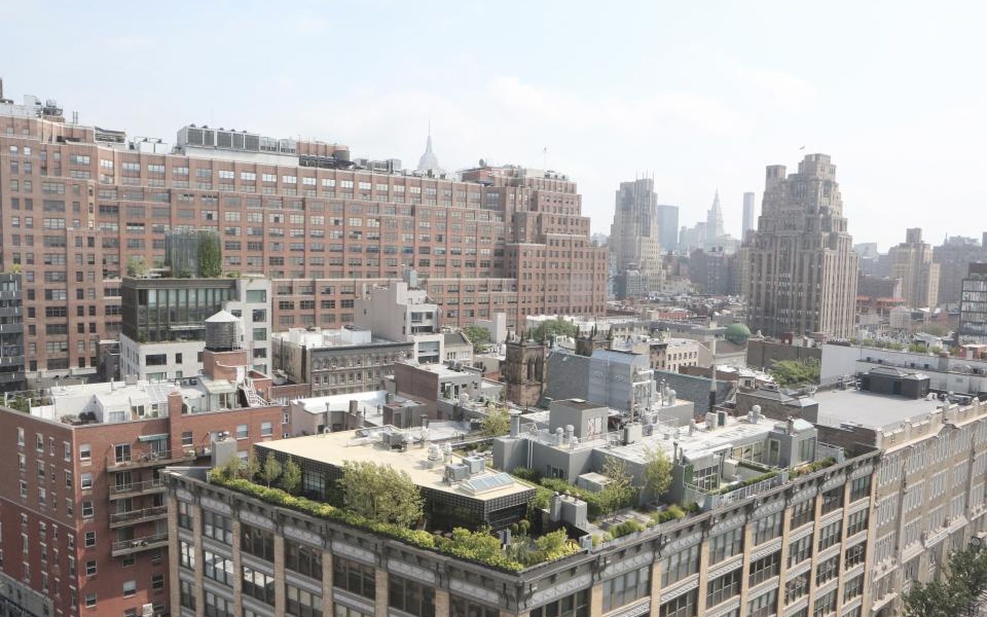 Rooftop garden overlooking the city